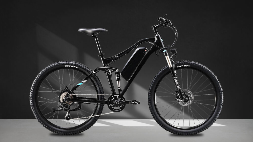 Paselec VX5 by Infinity EBikes
